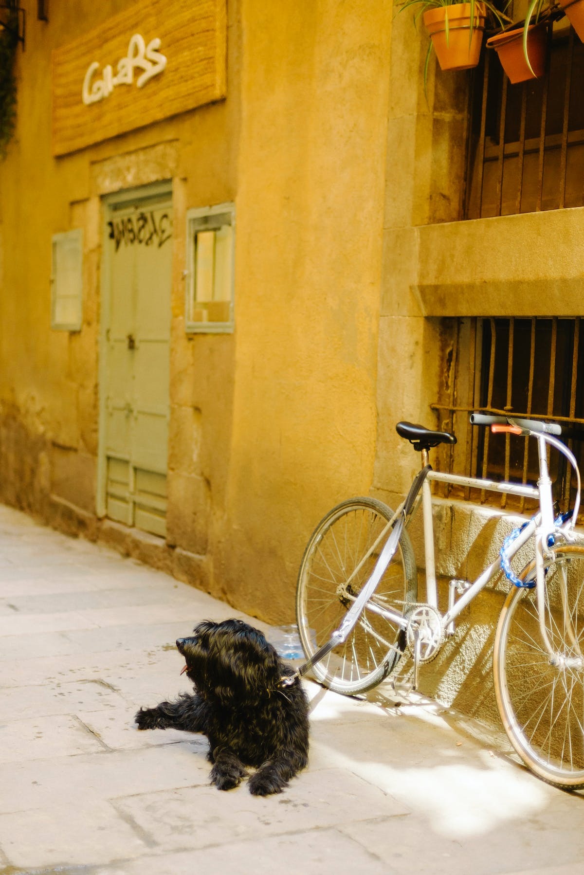 cadenas vélo